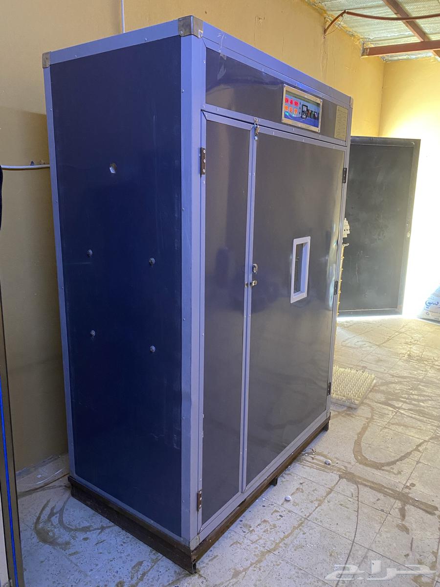 Incubator for sale63013163363459111