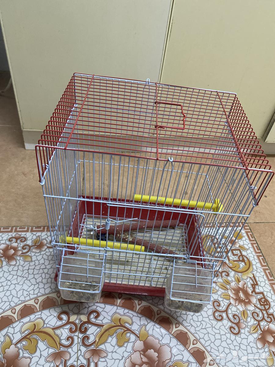 New bird cage630163208071701119