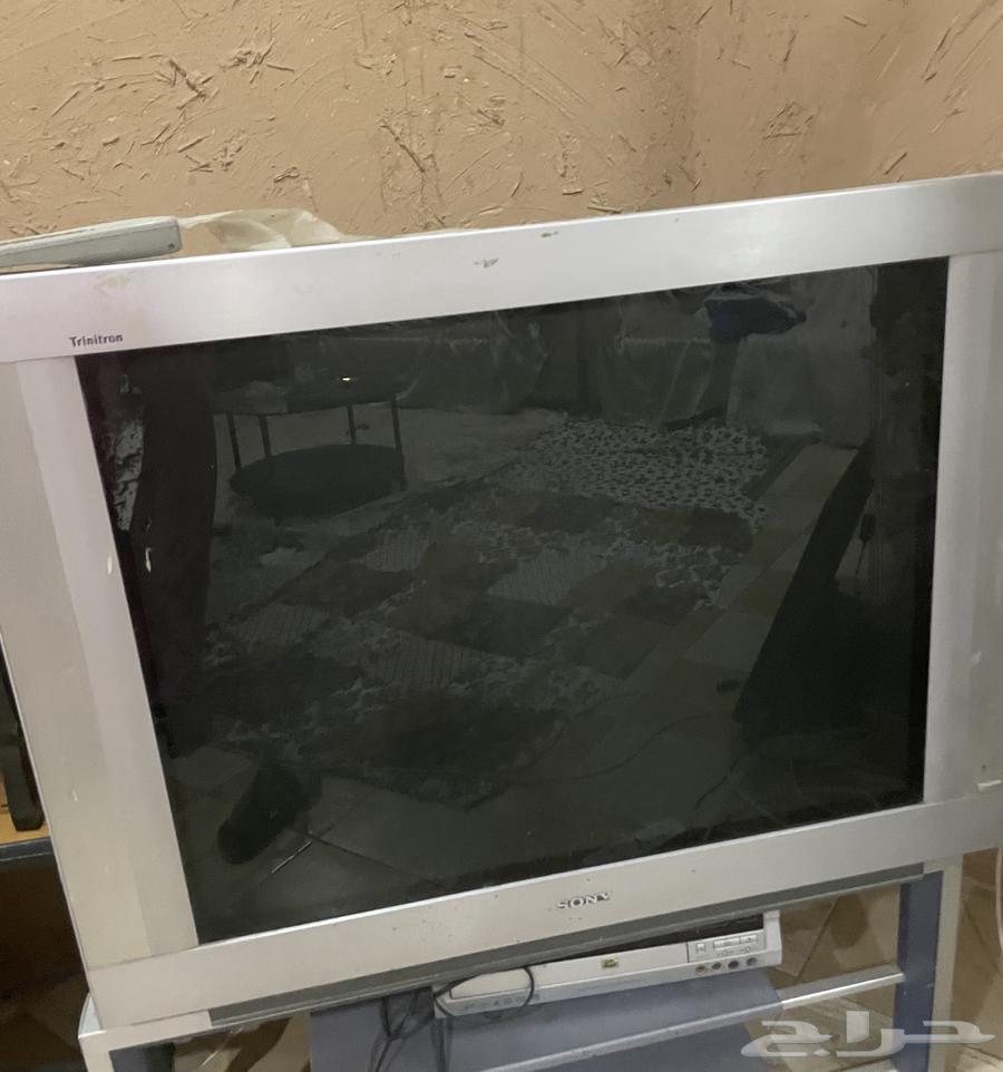 تلفزيون63013125227138111