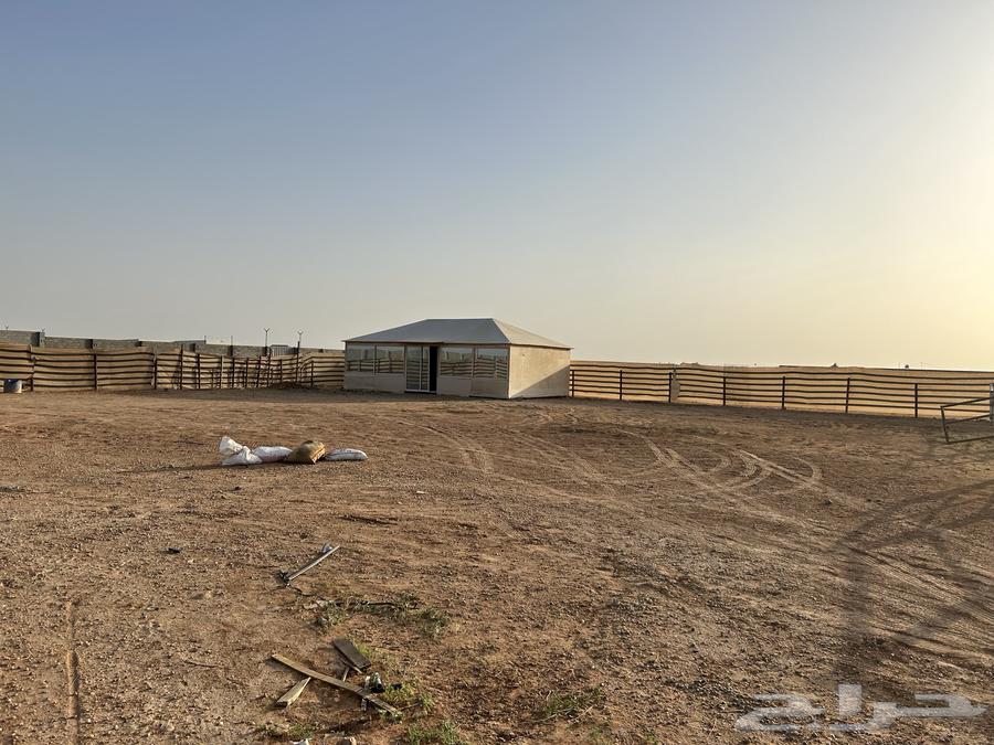 Stable for rent with large area63012225977859114