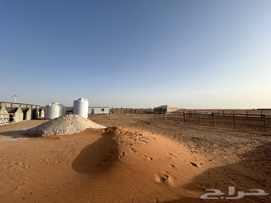 Stable for rent with large area63012225977859113