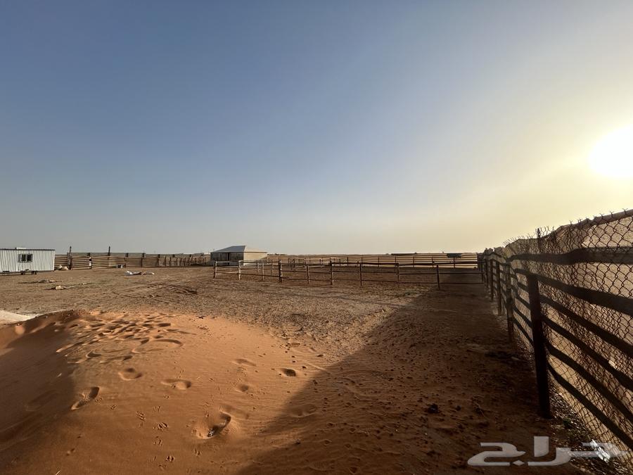 Stable for rent with large area63012225977859112
