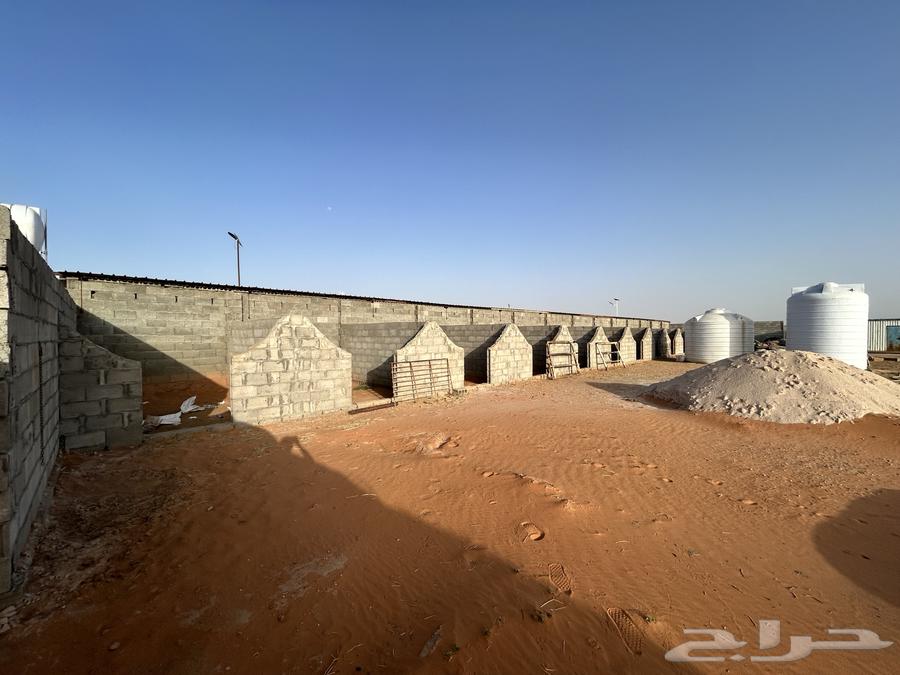 اسطبل للايجار مساحة كبيره630122259778591123