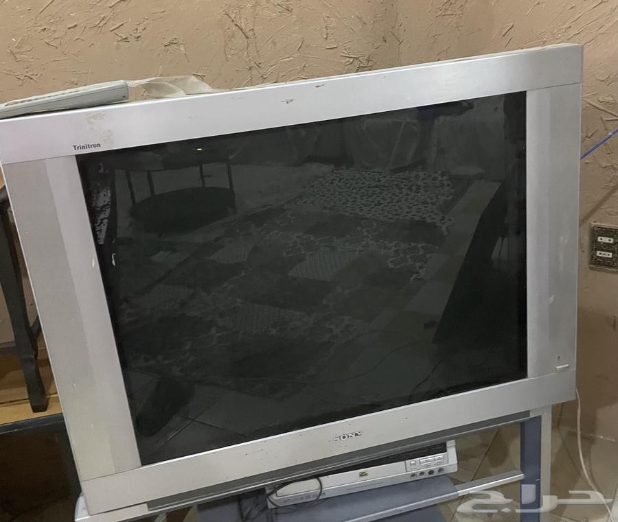 تلفزيون630131252271381114