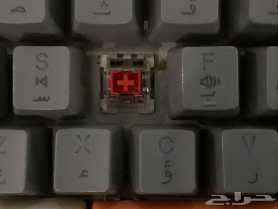 Red switch RGB gaming keyboard works on all platforms63013593746946111