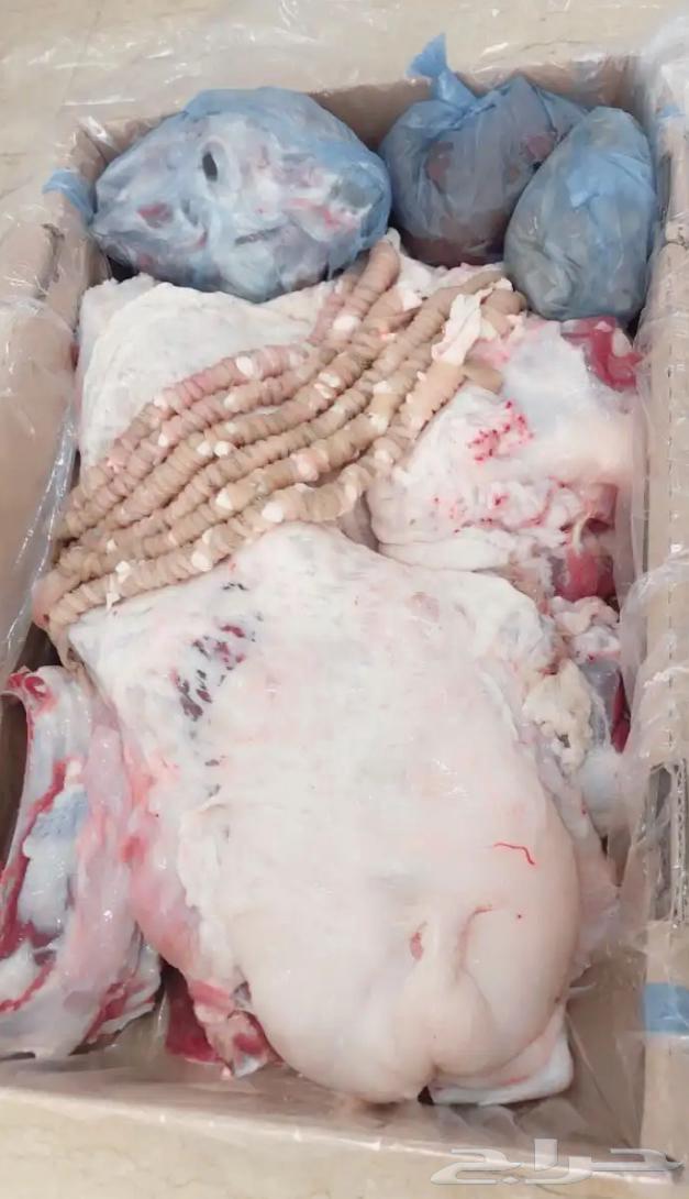 ملحمة افاق الشبل لبيع الخرفان وتيوس ب الكامل والنص63013152246913111