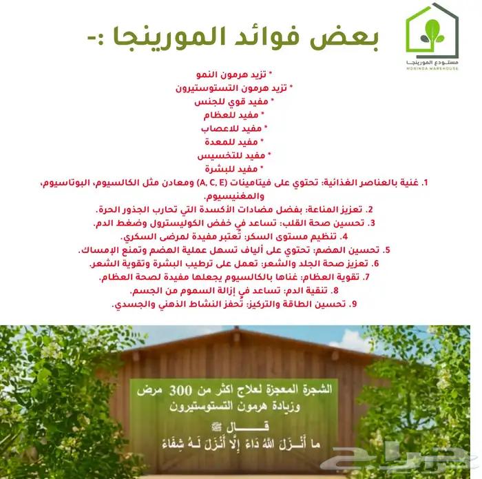 Organic Moringa .. to increase growth hormone and height, and many other benefits63013593443203112