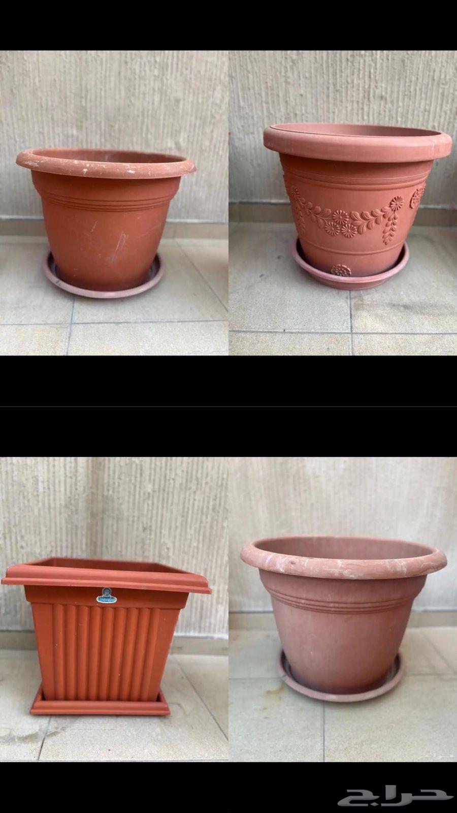 For sale: farming basins630131356746271126