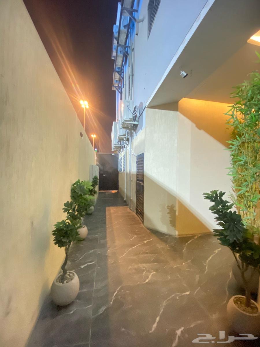 شقة للإيجار