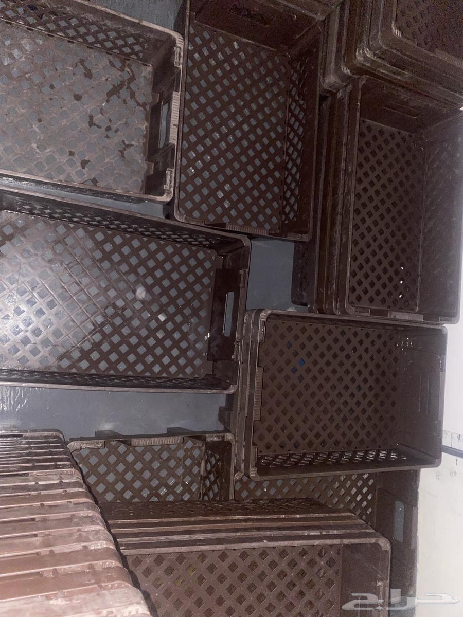للإيجار ايسوزو ونيت ثلاجه63100320771203113