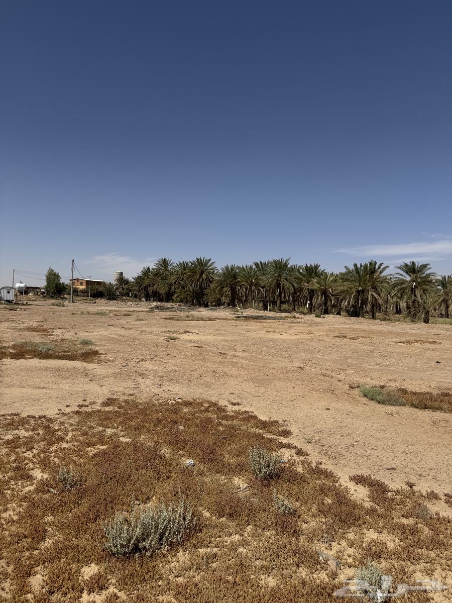 Agricultural land on King Abdullah Road63015209730306114