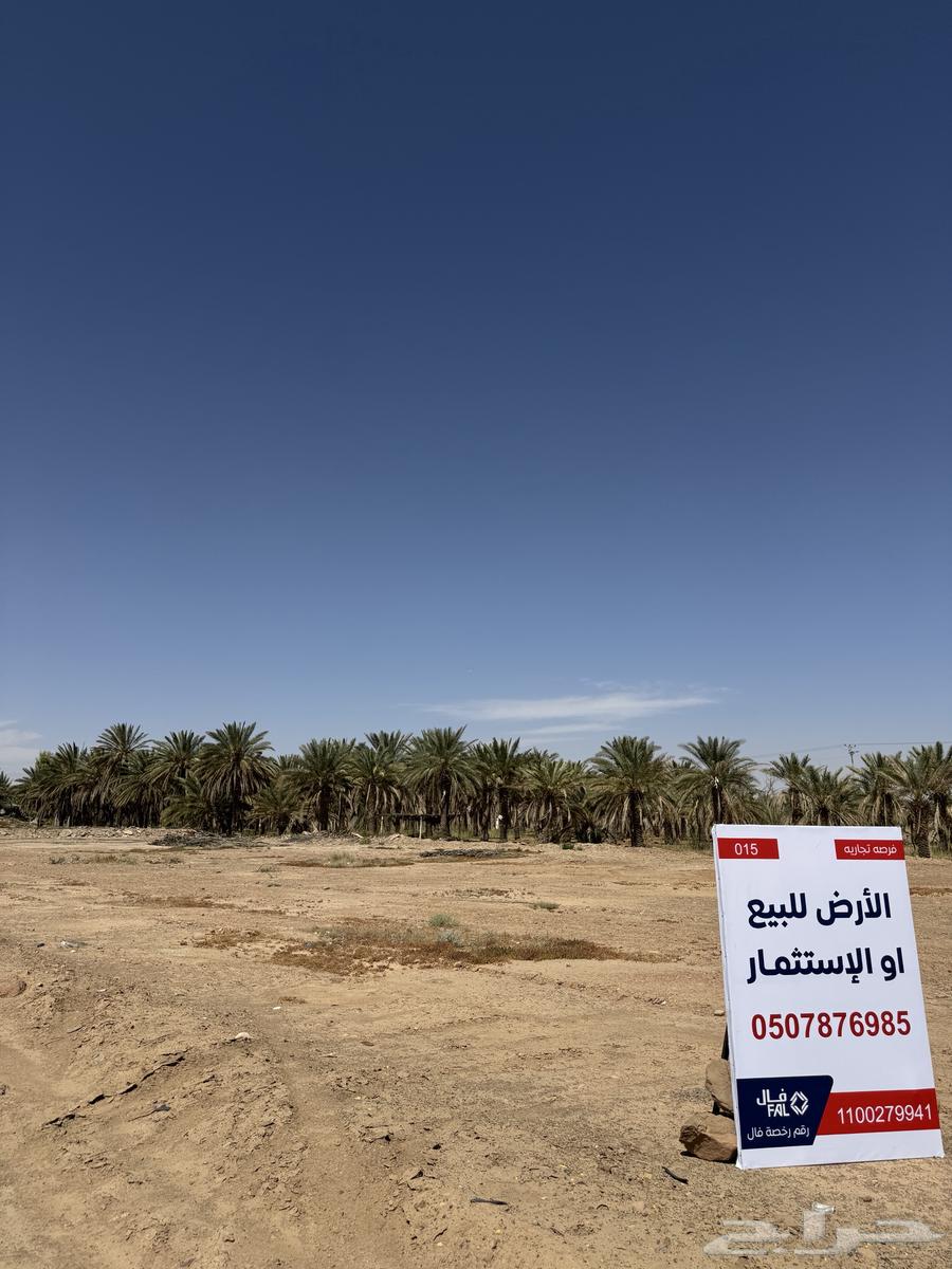 Agricultural land on King Abdullah Road63015209730306111