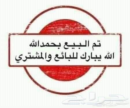 فروخ روز تم البيع63013125022849113