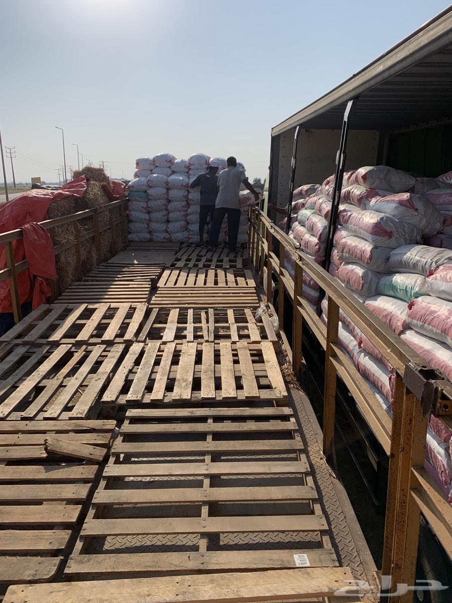 Khobz mafroud nashif63081039650947113