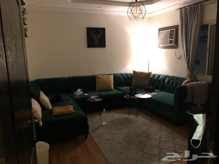 شقة للإيجار