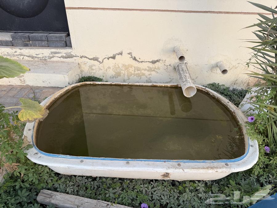 حوض ماء63171497013763119