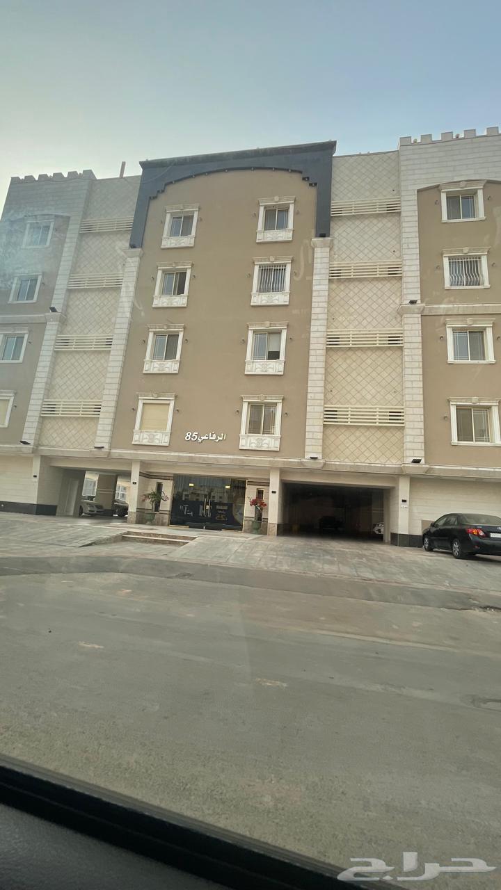 شقة للإيجار