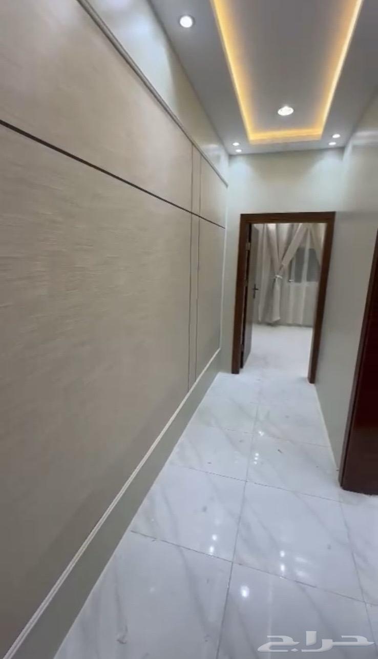 شقق عزاب للايجار - مدينة القنفذة63014745803137114
