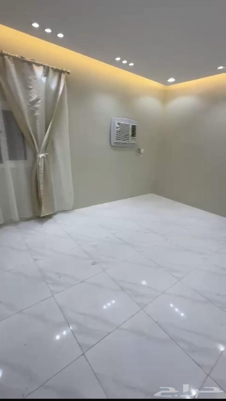 شقق عزاب للايجار - مدينة القنفذة63014745803137111
