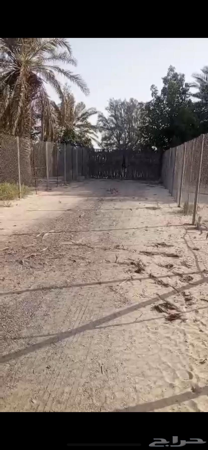 مستودع و شريحة زراعية للإيجار منطقة ابو معن63009995450369113