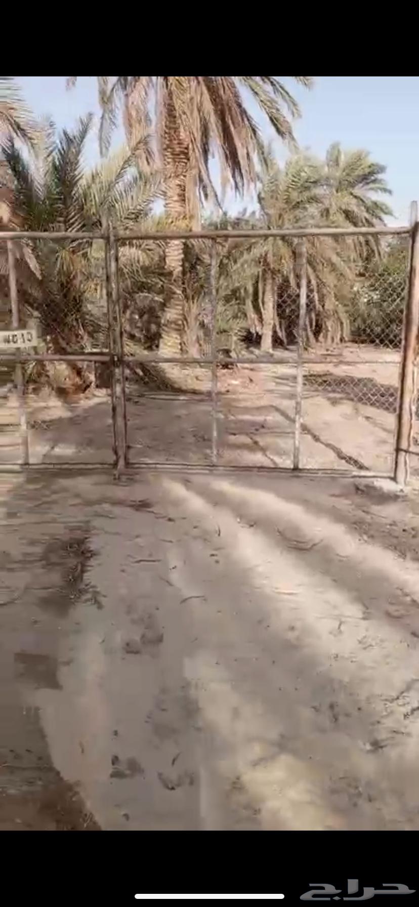 مستودع و شريحة زراعية للإيجار منطقة ابو معن63009995450369114