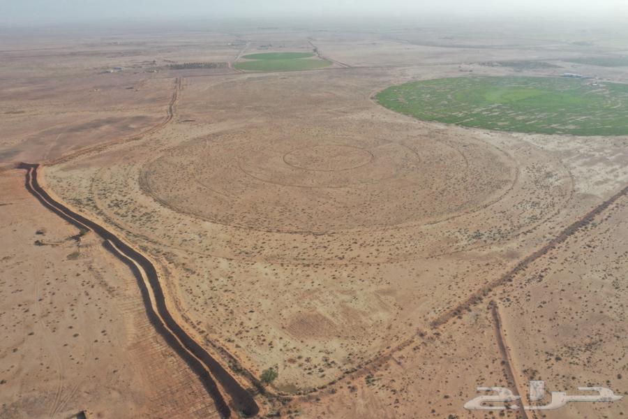 مزرعة للبيع