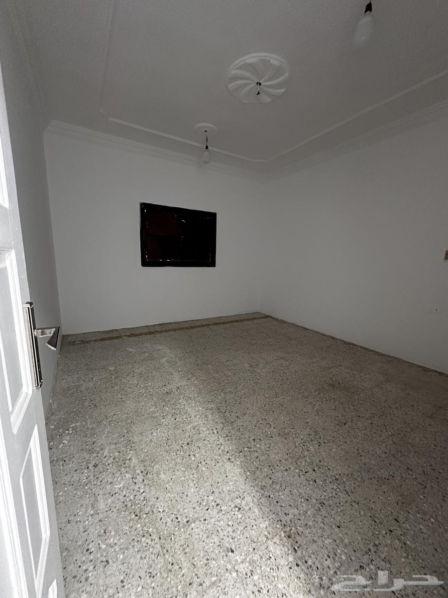 شقة للإيجار