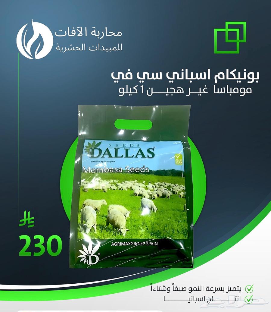 Blokam seeds63038685669507118