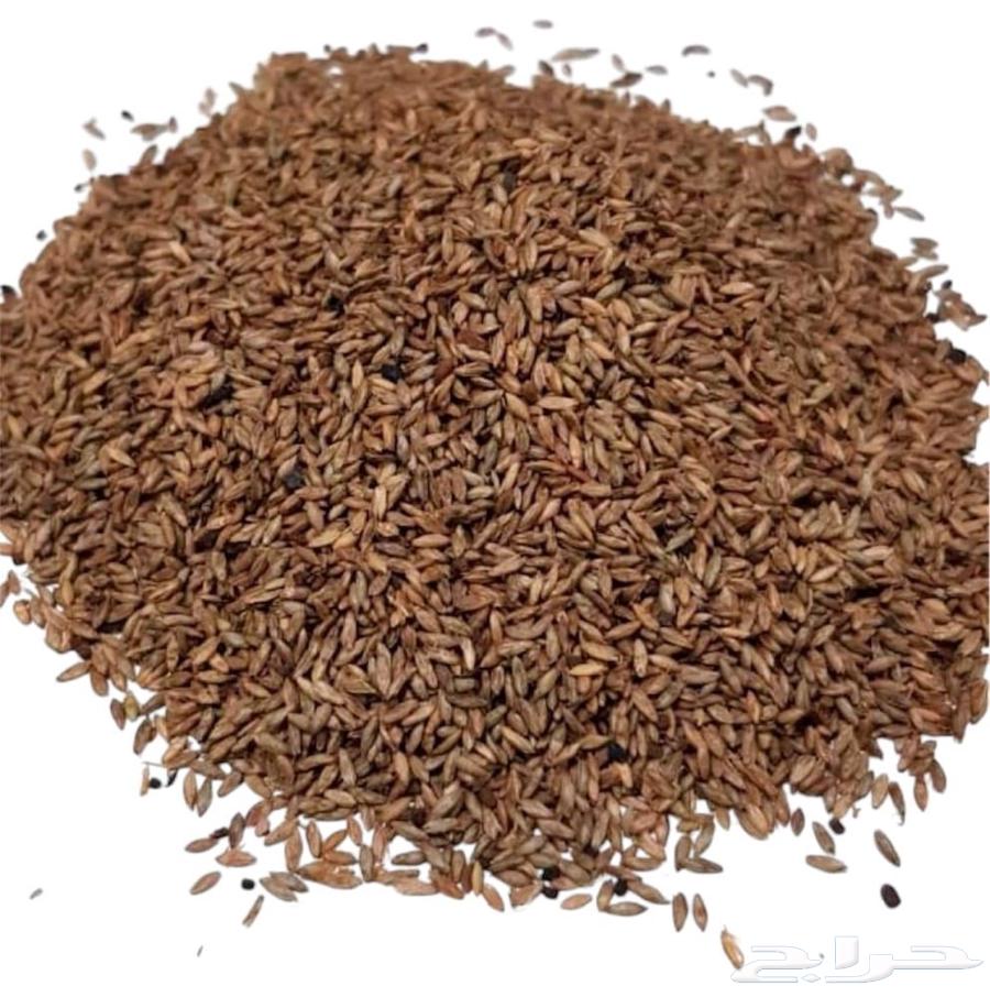 Blokam seeds63038685669507111