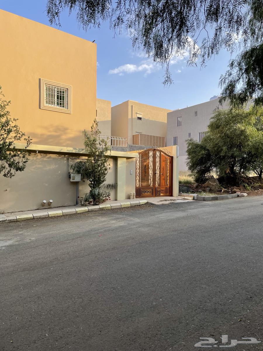 Annual Lease and Supplementary Contract63013382483458112