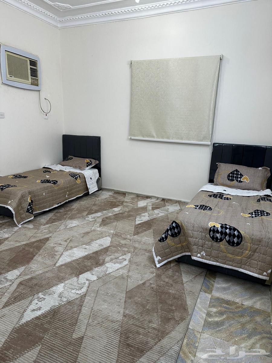 شقق مفروشه وغرف مفروشه. الباحه. العقيق  . الغوث63010620129923111