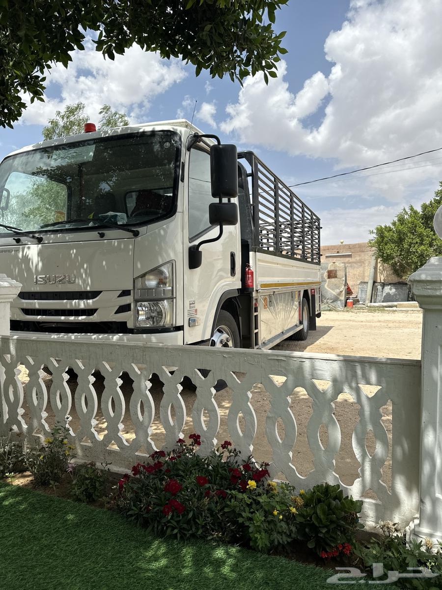 دينا نقل عفش63613910119426110
