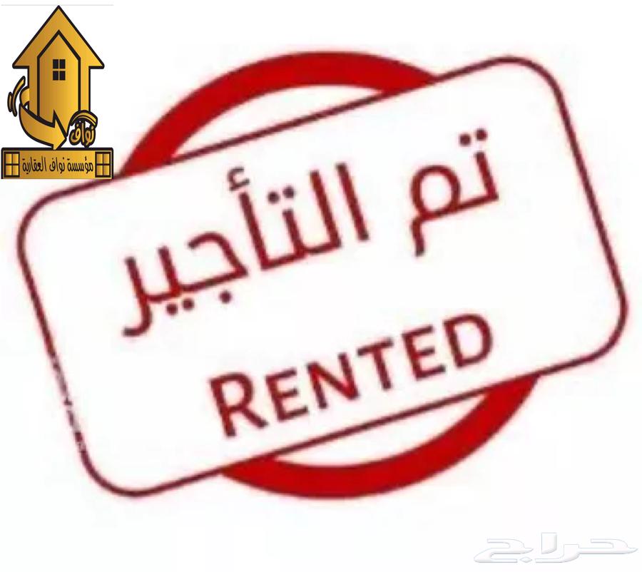 شقة للإيجار