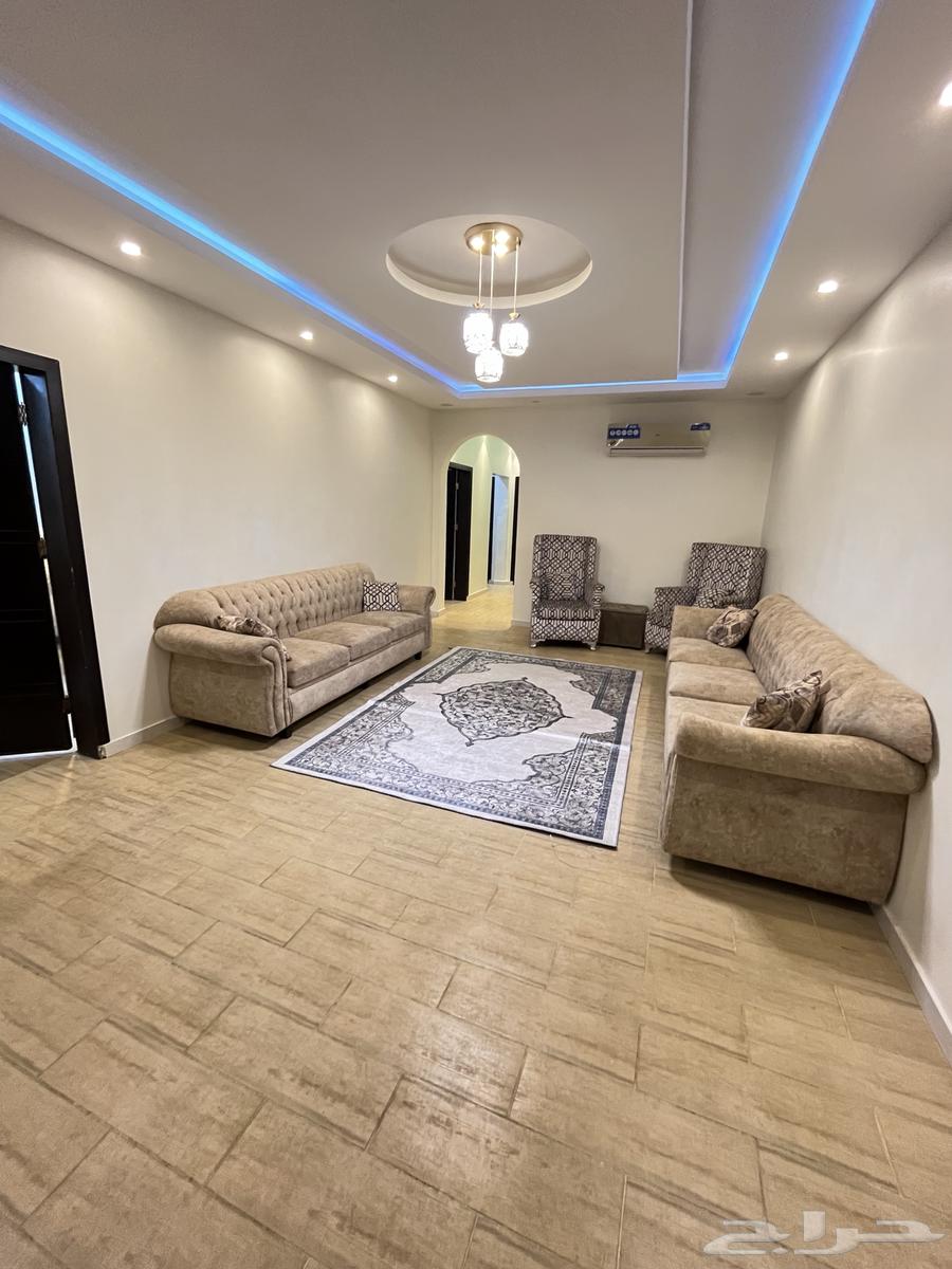 يوجد شقه وغرف مفروشة للايجار الشهري السنوي حي الشاطيء63010618820354111