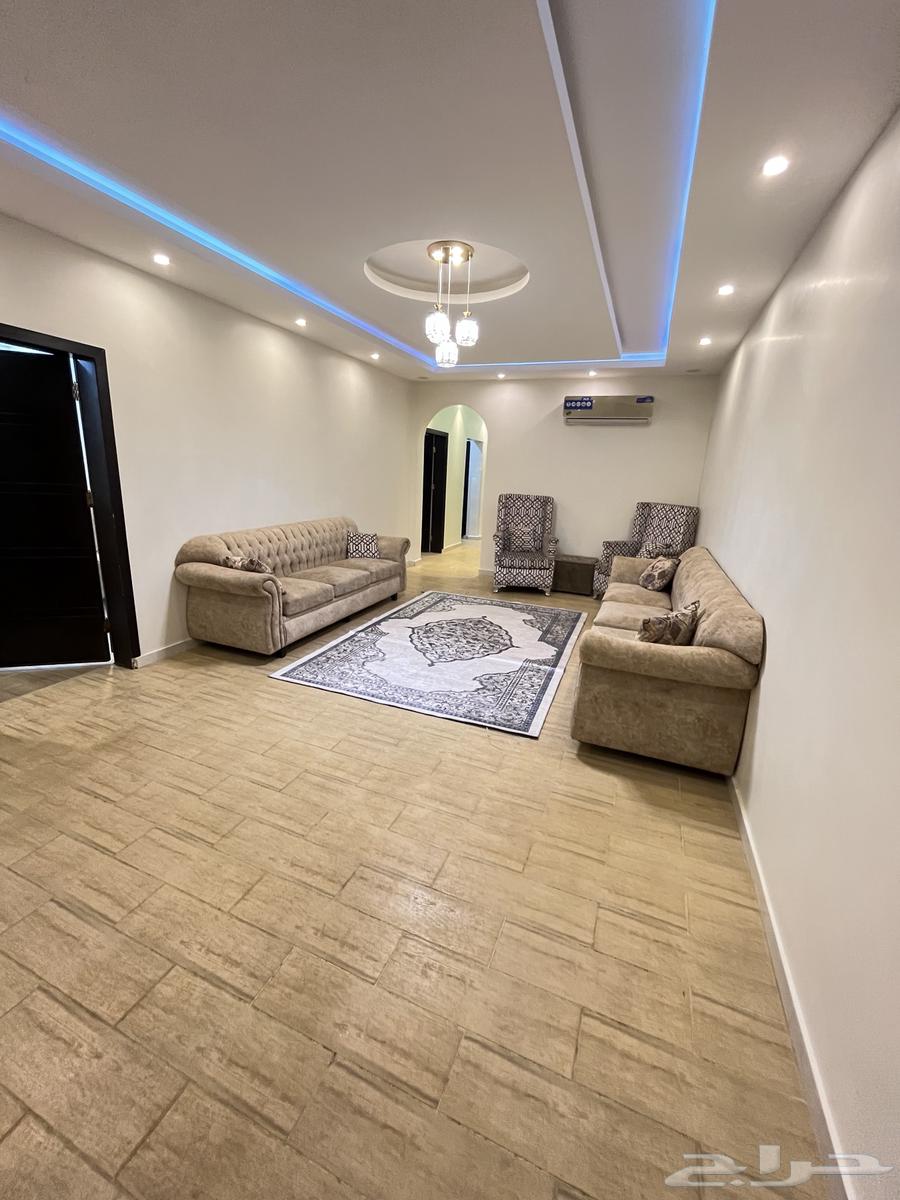 يوجد شقه وغرف مفروشة للايجار الشهري السنوي حي الشاطيء63010618820354113