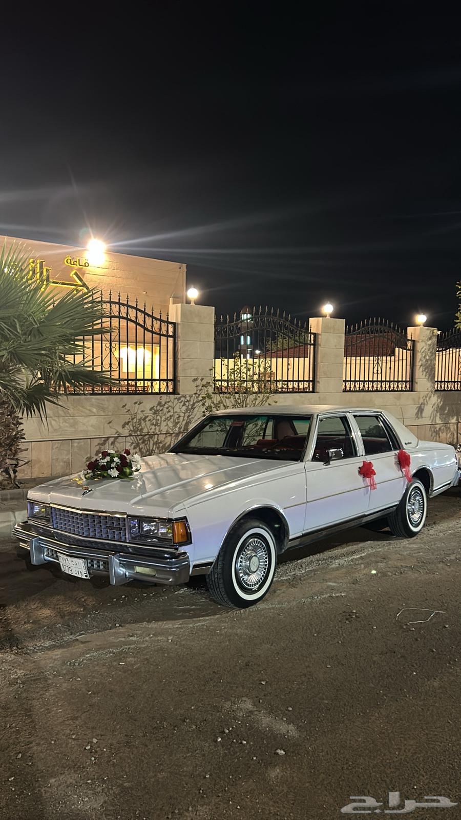 كابرس شفر 78 مجدد63224874251393114