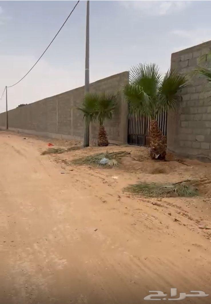 ارض للبيع