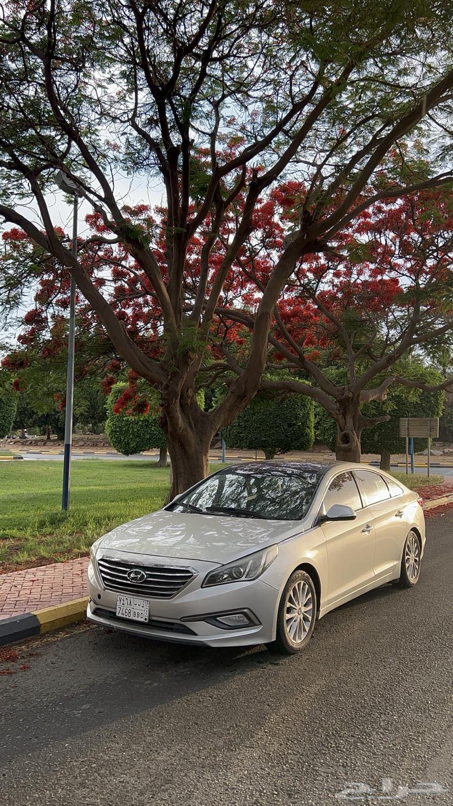 2017 Sonata, I'm offering it as is, never used, clean and everything is new63813585647233110