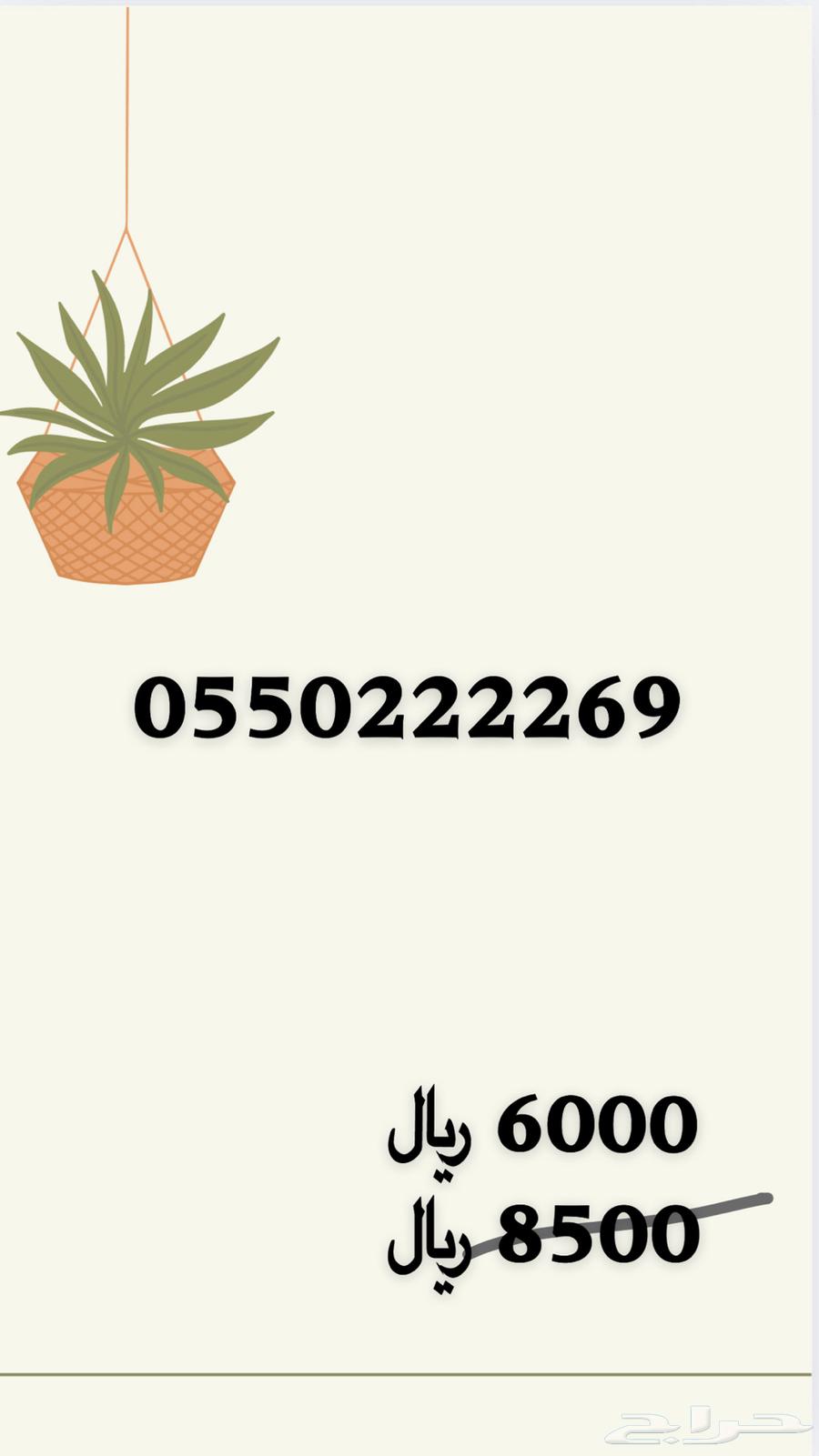 رقم مميز جد ا63067173321986114