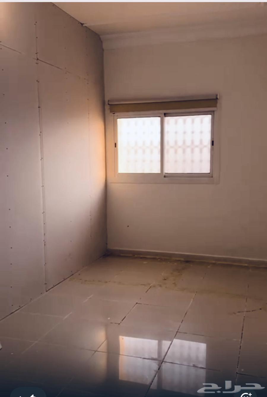 Annual rental apartment (Al-Hamdu)63009268123523111