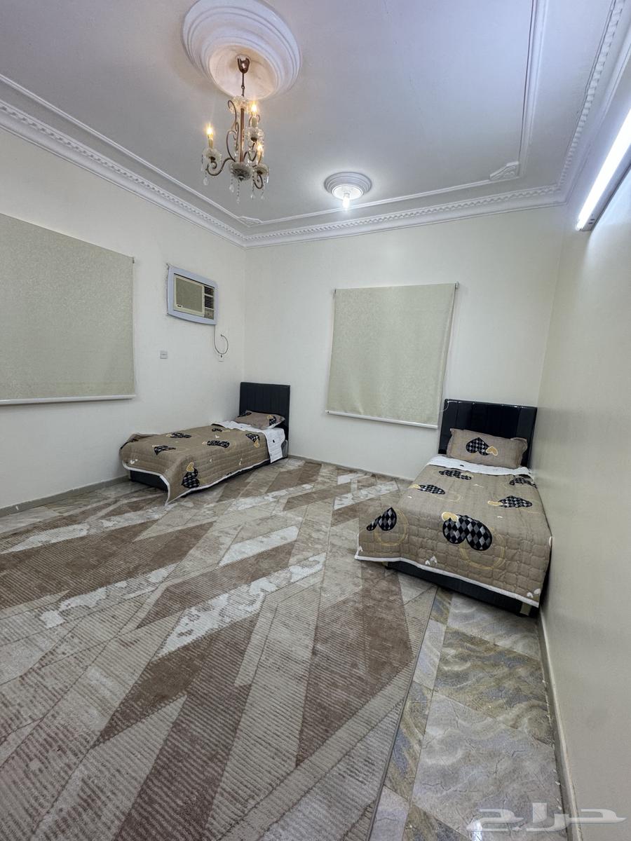 شقق مفروشه وغرف مفروشه. الباحه. العقيق  . الغوث63010620129923113