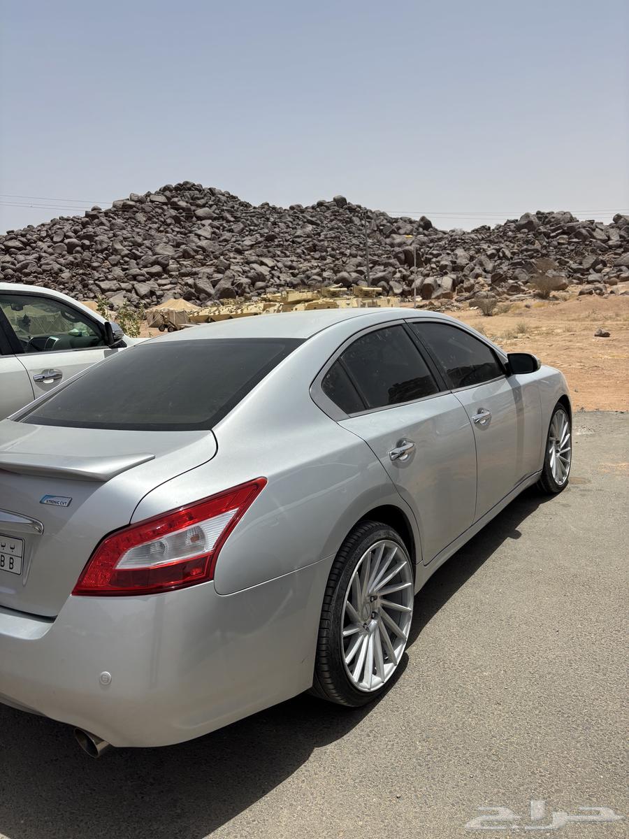 مكسيما 201063020534018946112