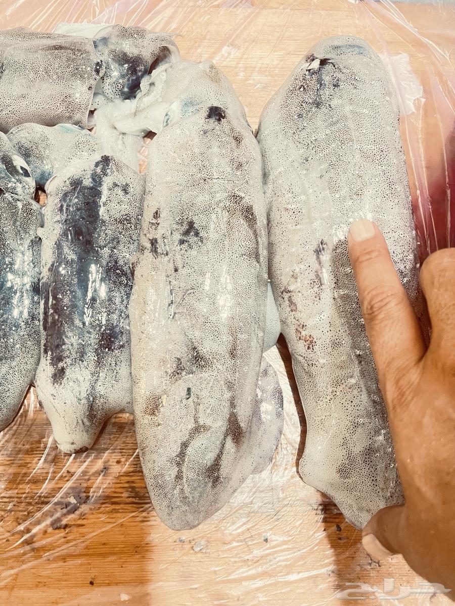 Rainbow trout, sea bass fillet, and local calamari on request63143737567618113