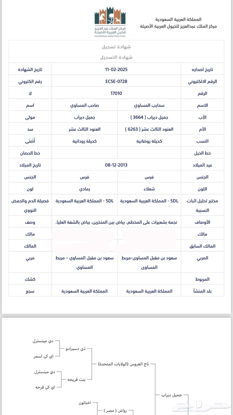 فرس واهو للبيع63080606271618114