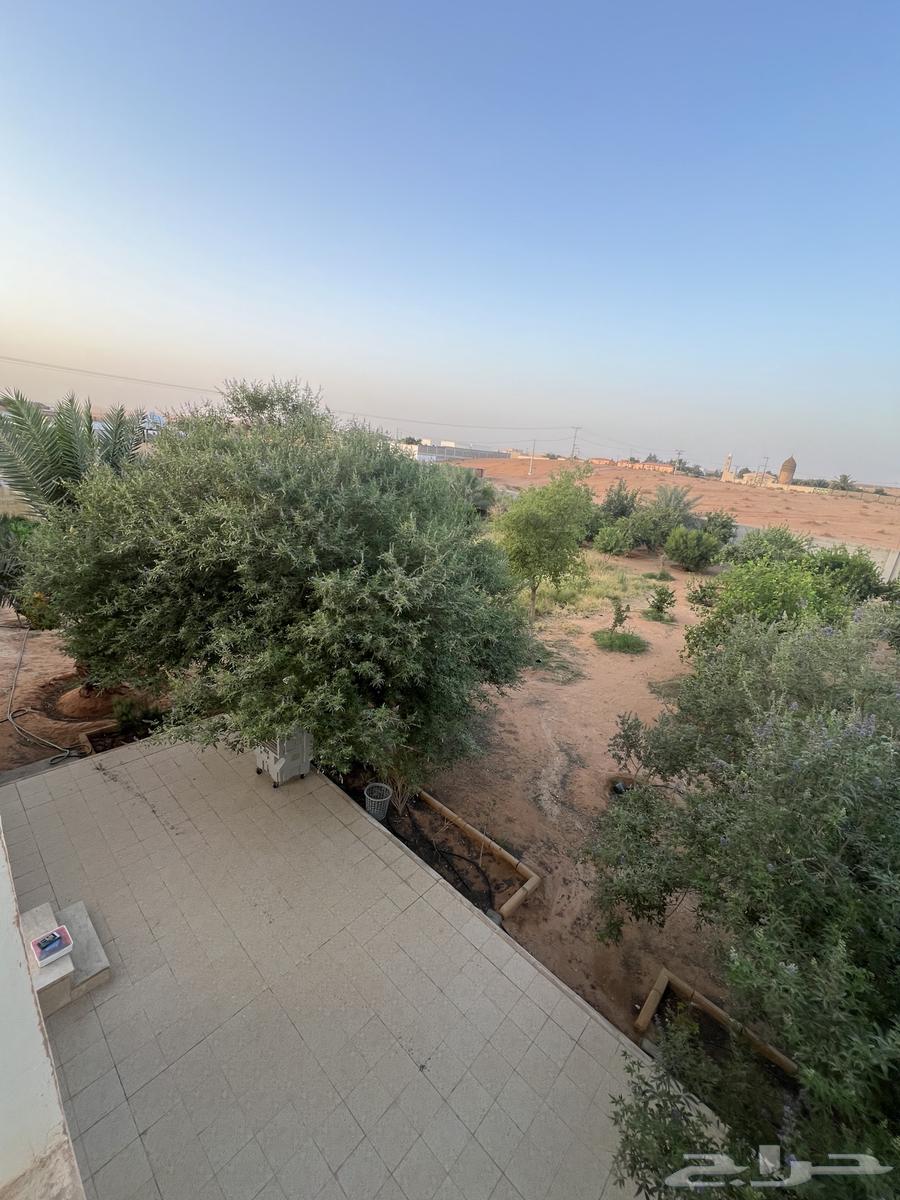 For sale: A rest area with a busy atmosphere in Al-Muzahimiyah63004099112065113