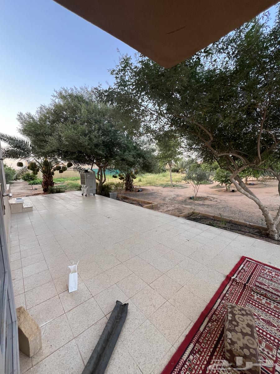 For sale: A rest area with a busy atmosphere in Al-Muzahimiyah63004099112065114