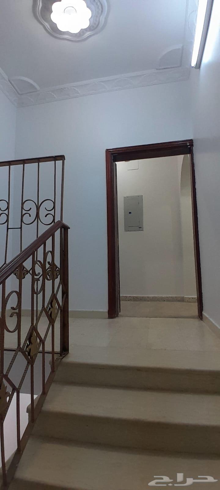 شقة للإيجار