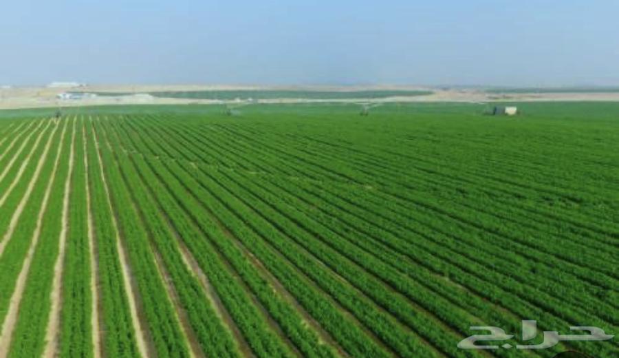 Agricultural project634410839232031120
