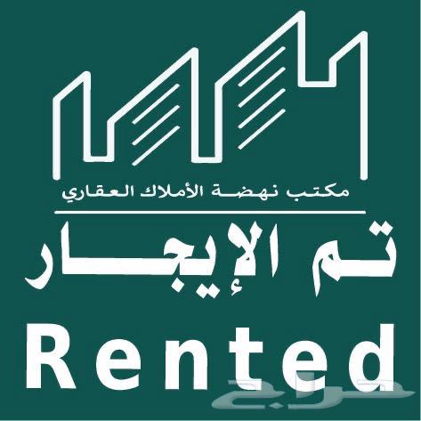 شقة للإيجار