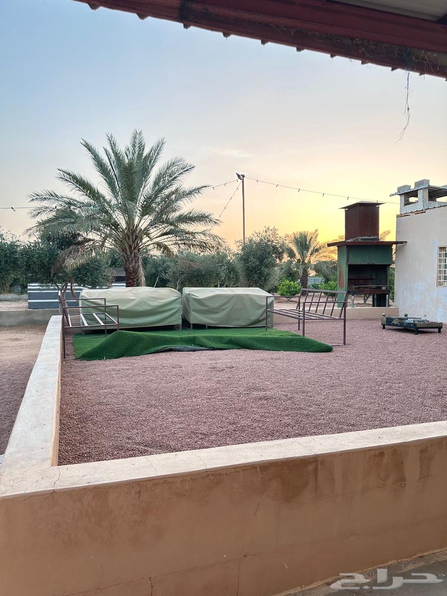 Rest area and farm at Al-Baha, 35 km north of Ha'il63006137103234112